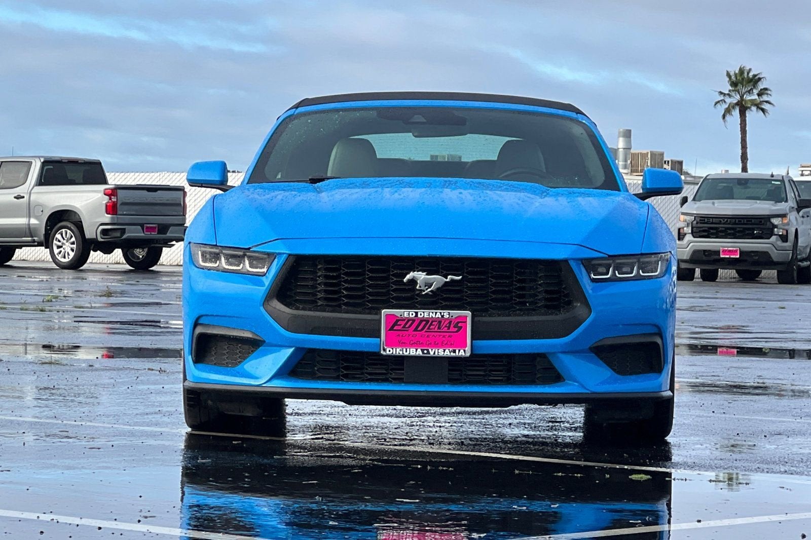 2024 Ford Mustang EcoBoost